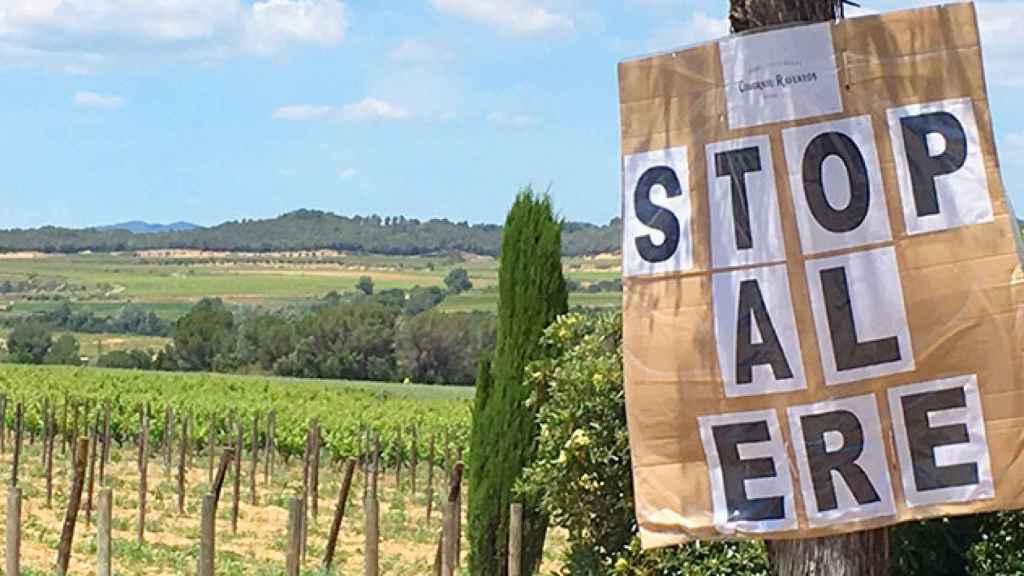Un cartel contra el ERE de Codorníu, delante de las cavas y con un campo de viñas al fondo / CG