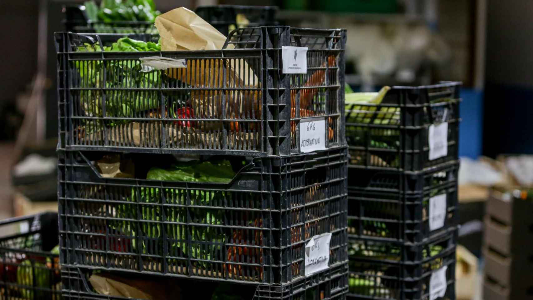 Cestas con alimentos ecológicos para familias vulnerables / EP