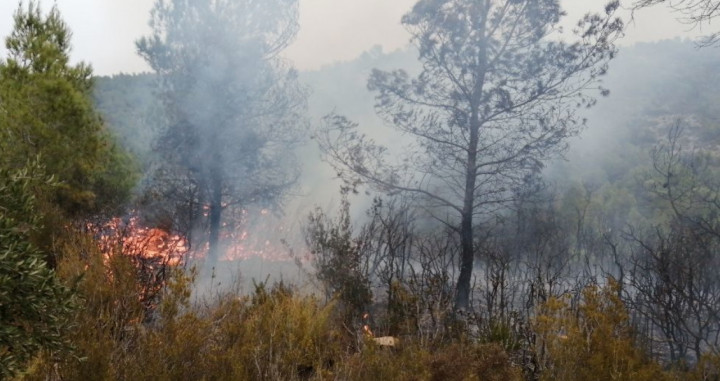 Incendio en Perelló / BOMBERS