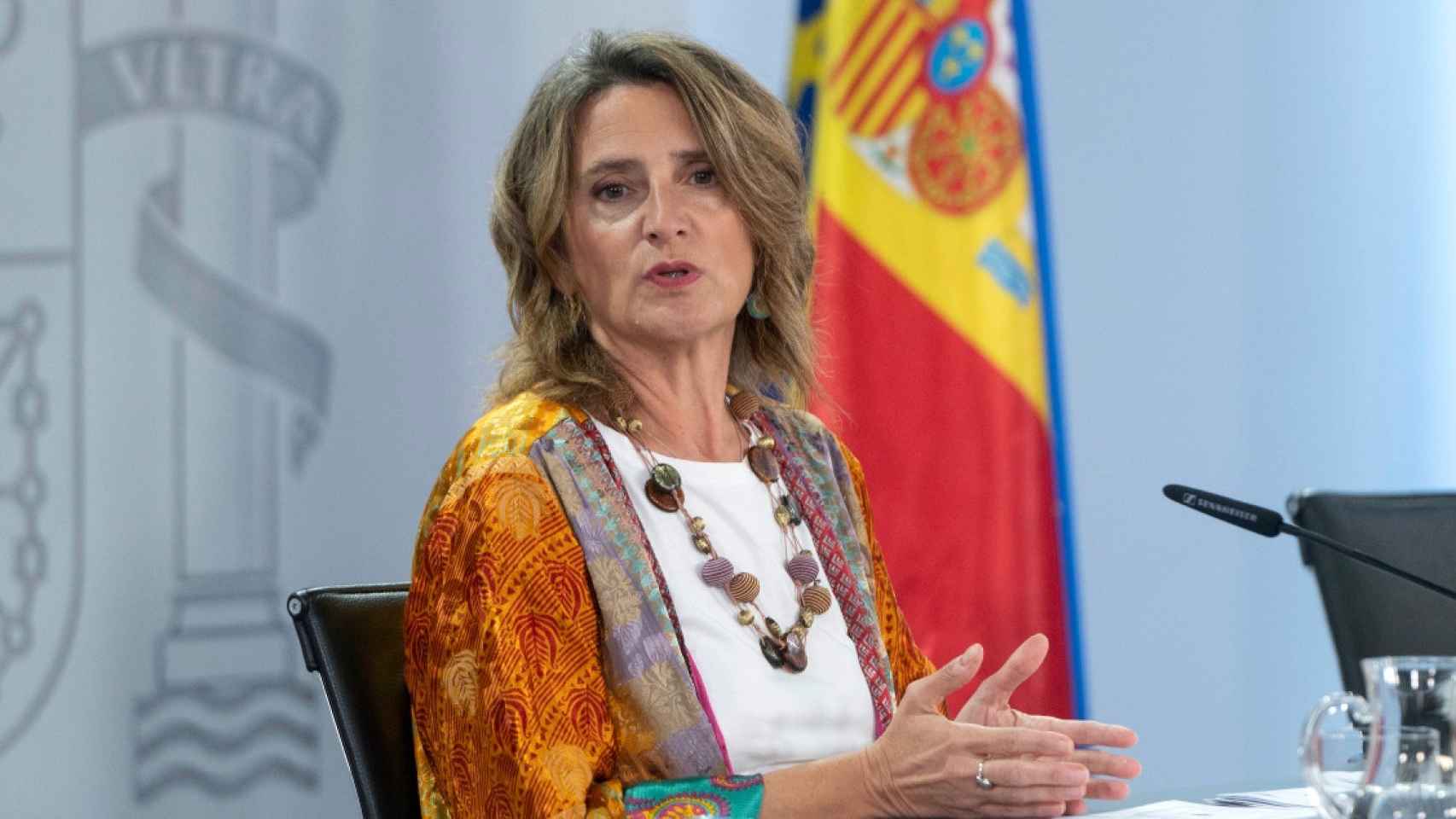 La vicepresidenta tercera del Gobierno y ministra para la Transición Ecológica y el Reto Demográfico / EP