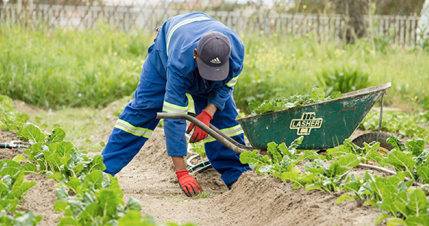 Salario Mínimo Interprofesional para el sector de la agricultura