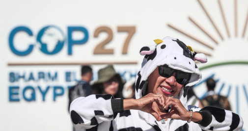 Una activista vegana, posando durante una protesta en la Conferencia de las Naciones Unidas sobre el Cambio Climático (COP27), en Sharm El-Sheikh, Egipto / EFE - SEDAT SUNA