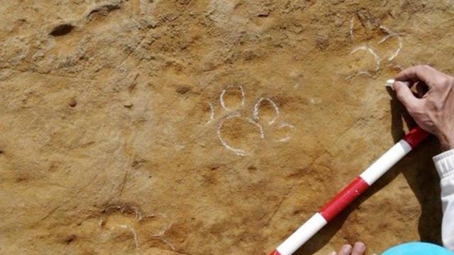 Detalle de las huellas halladas en Girona / EP