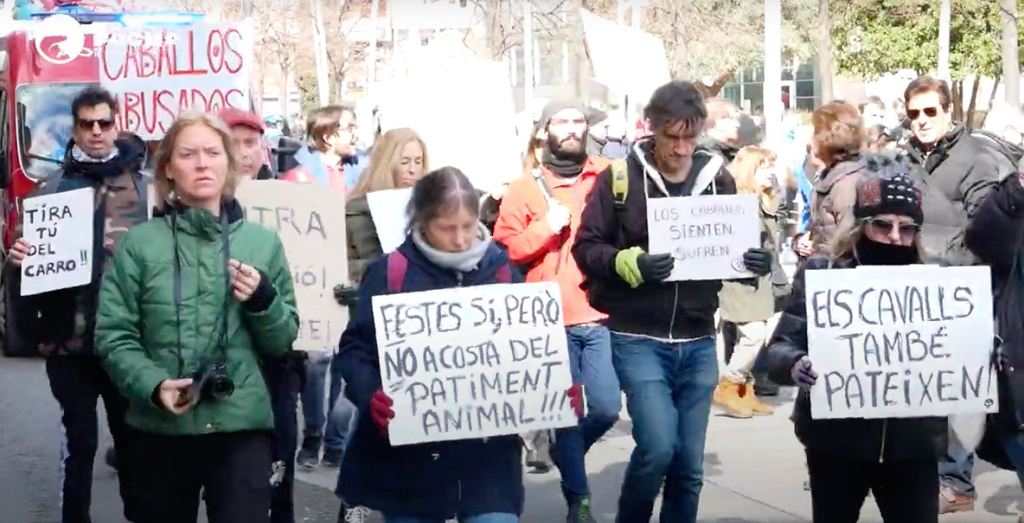 Animalistas se manifiestan contra el uso de caballos durante el desfile de Els Tres Tombs en Terrassa (Barcelona) / PACMA