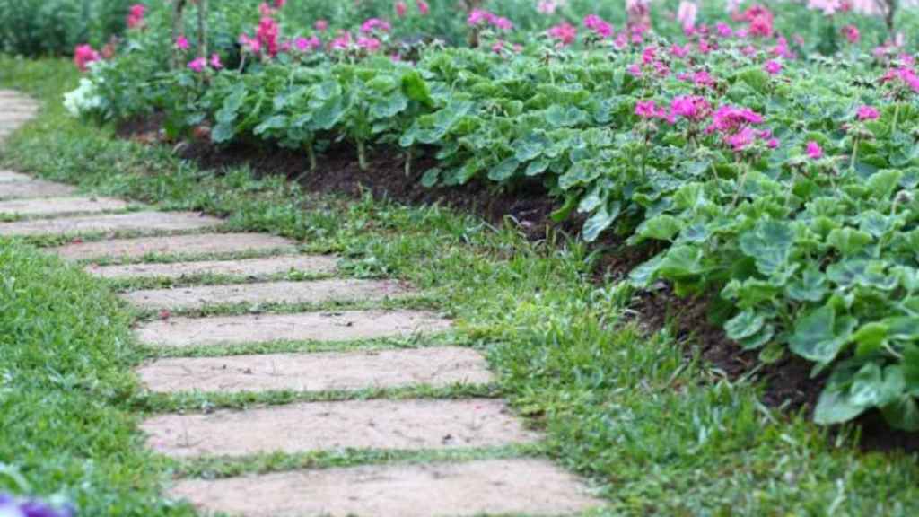 Una foto de archivo de un jardín que la policía investiga