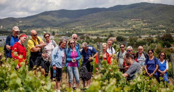 Visita guiada a una bodega de vinos / DO EMPORDÀ