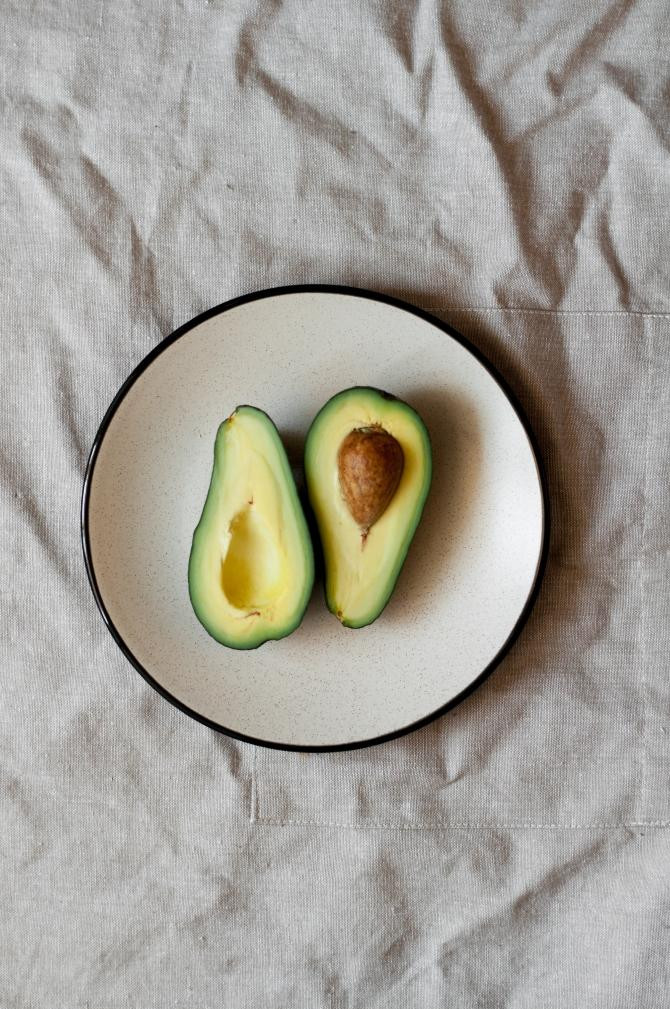 Aguacate, alimento prohibido para un gato doméstico / Alina Karpenko en UNSPLASH