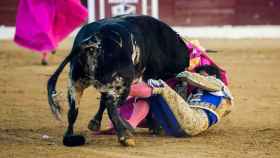 Canales Rivera embestido por un toro / REDES