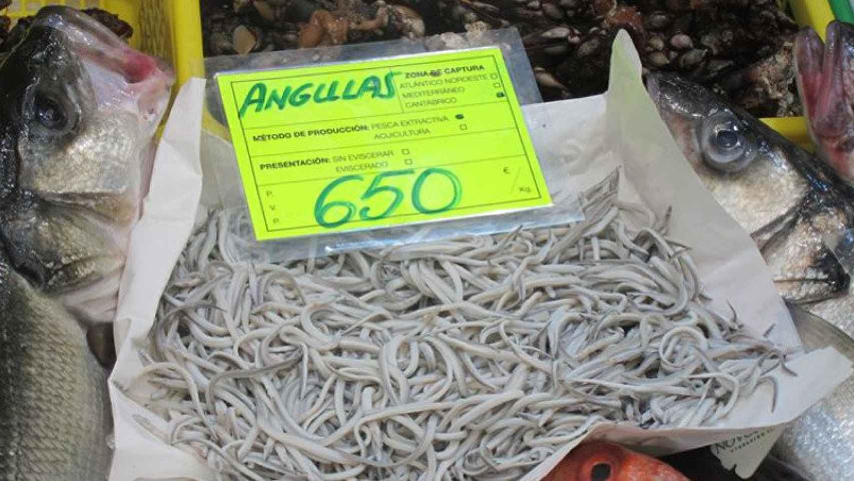 Angulas en la pescadería Garate de Bilbao, el día de Nochebuena.