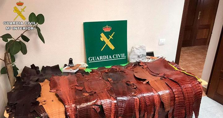 Piel de cocodrilo / GUARDIA CIVIL