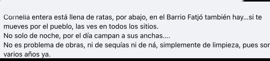 Comentario de un vecino en el grupo de Facebook Cornellà por la presencia de ratas en el municipio / REDES