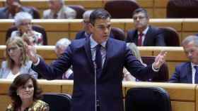 El presidente del Gobierno, Pedro Sánchez, en el senado / EFE