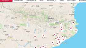 El mapa de floristerías de Tiendeo para celebrar Sant Jordi