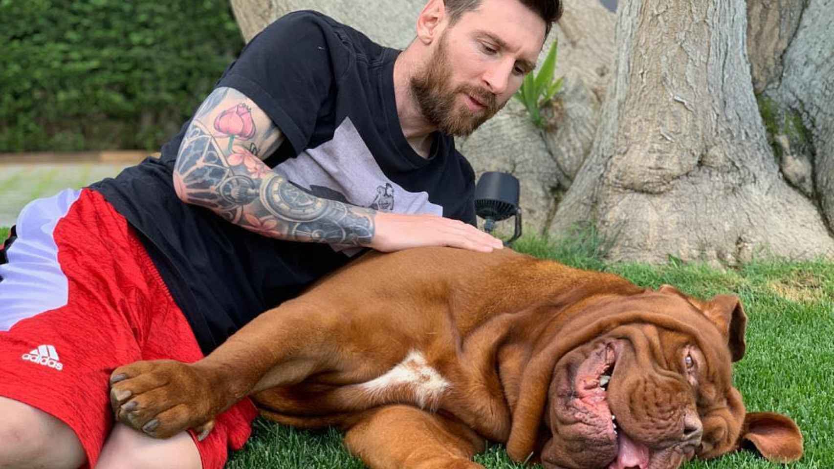 Messi acaricia el lomo de Hulk / INSTAGRAM