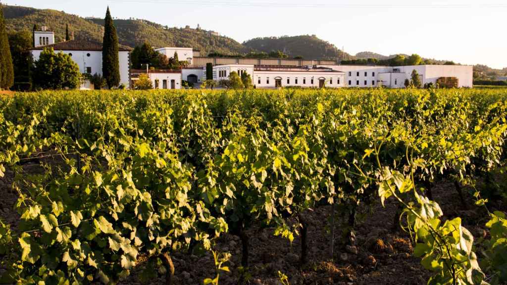 Bodega Sumarroca en el Penedès