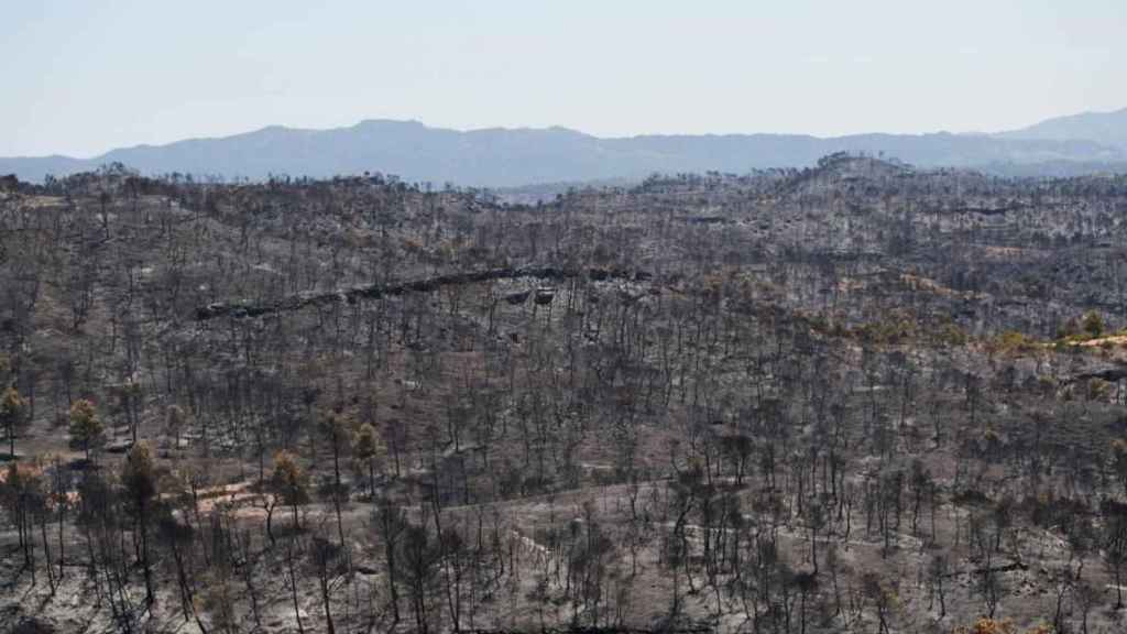 Zona calcinada por el incendio de Tarragona / EFE