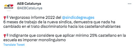 La AEB critica un informe de la Sindicatura de Greuges sobre el castellano / TWITTER