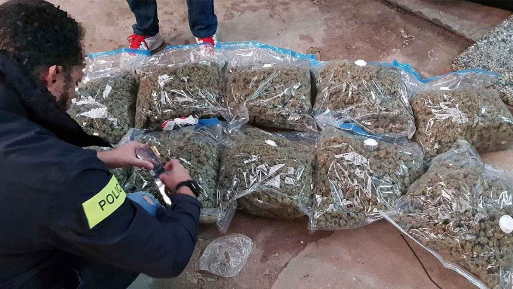 Uno de los 'mossos' junto a la marihuana incautada / MOSSOS D'ESQUADRA