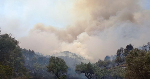 Incendio en Corbera d'Ebre (Tarragona) / AGENTS RURALS