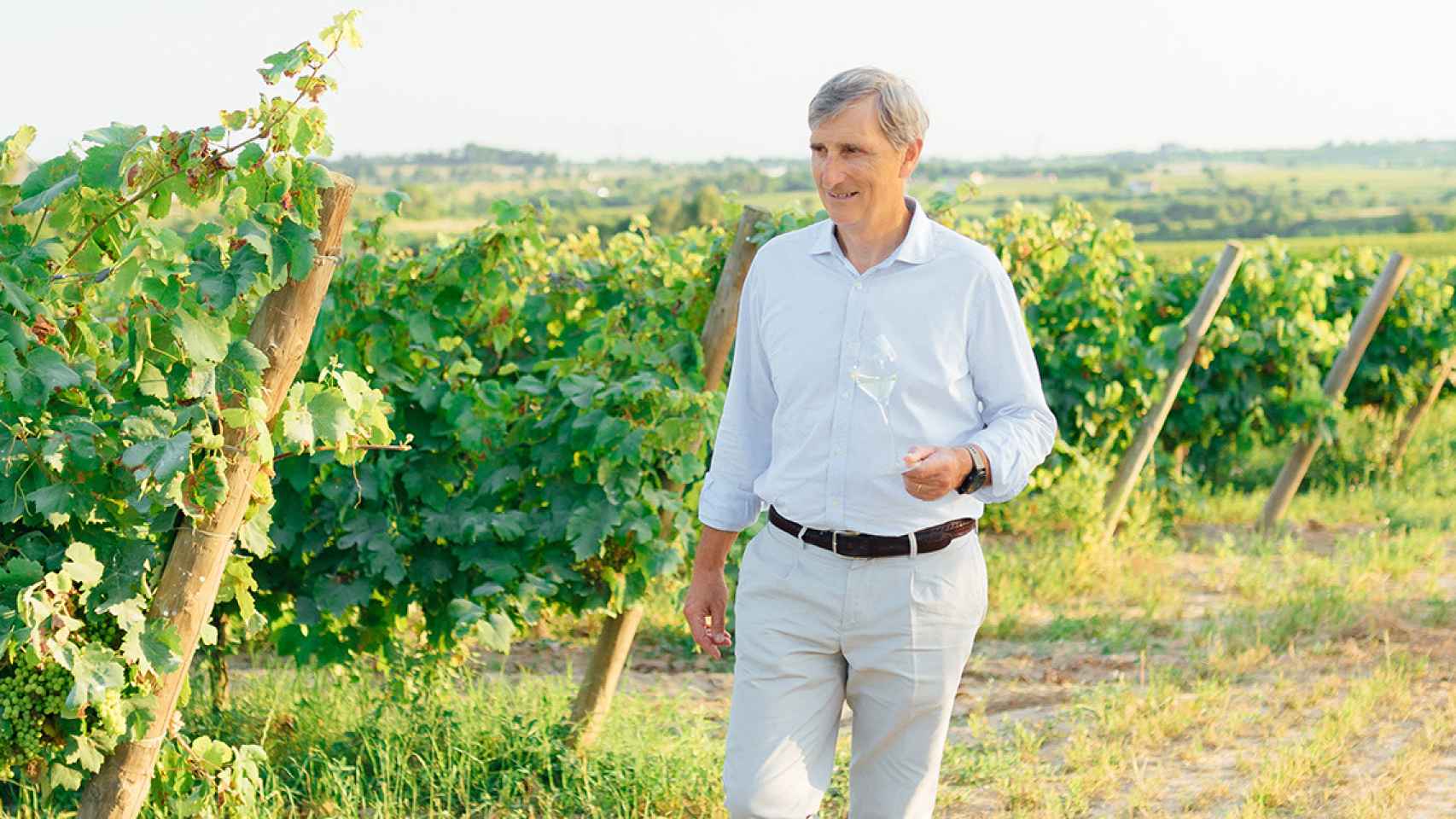 Javier Pagés, presidente de la DO Cava / DO CAVA