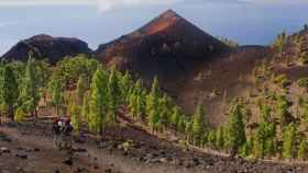 Parque Natural de Cumbre Vieja en La Palma donde se localiza el volcán / TURISMO DE CANARIAS