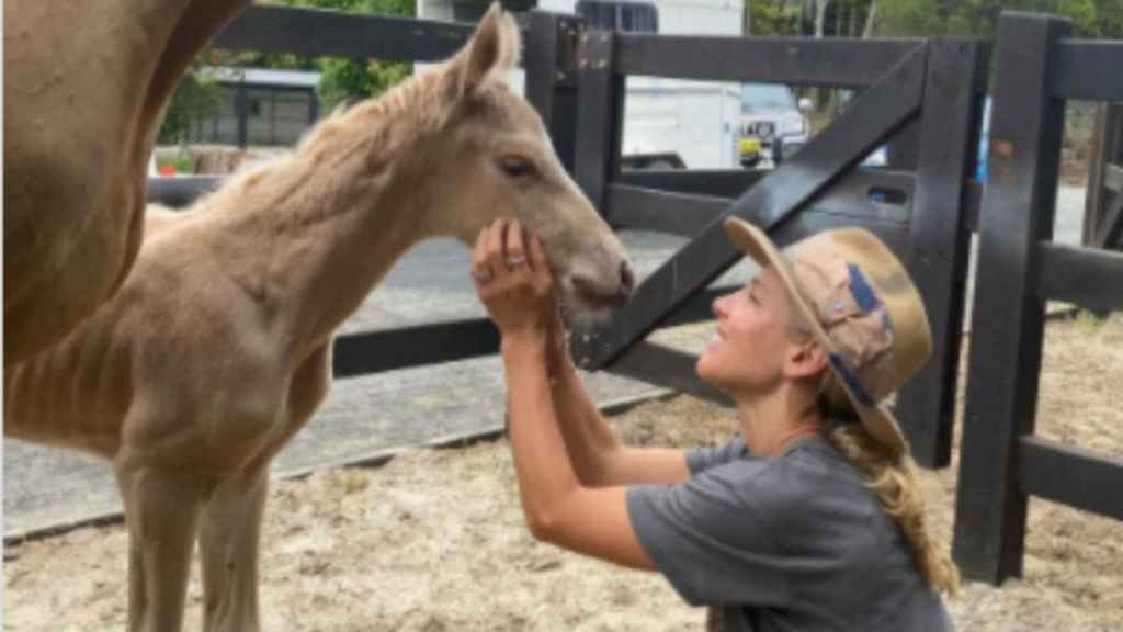 Elsa Pataky junto a la potrilla recién nacida / INSTAGRAM