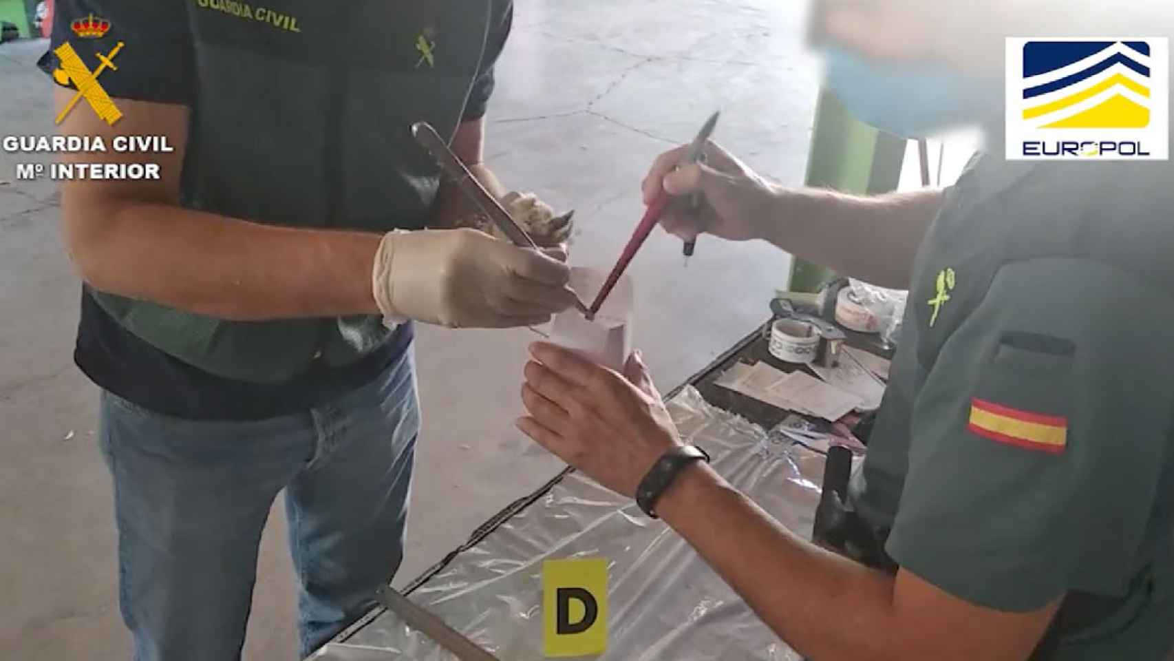 La Guardia Civil inspecciona una nave de producción de codornices en el marco de una operación en la que han detenido a 58 personas / GUARDIA CIVIL