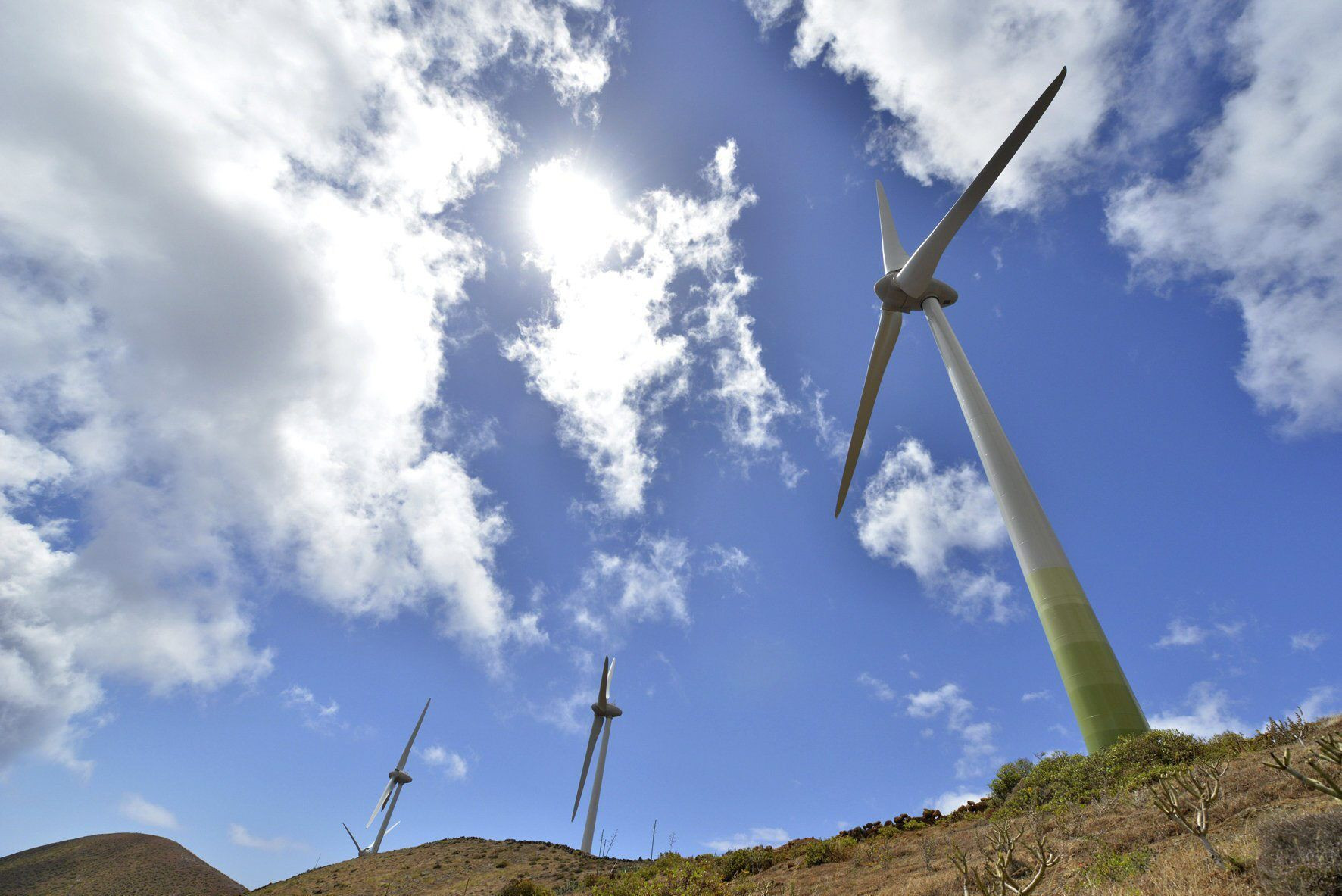 Molinos de energía eólica / EFE