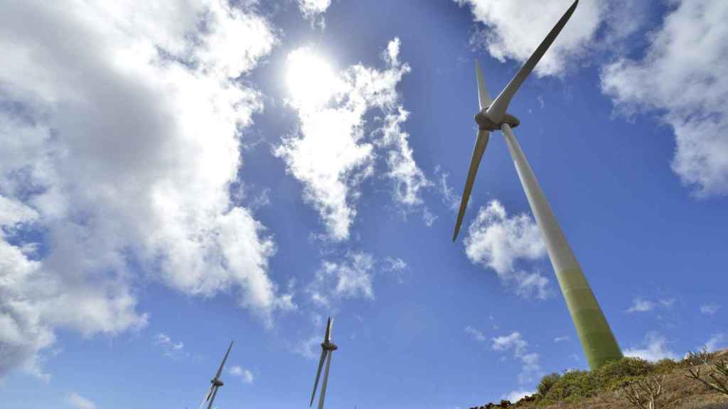 Molinos de energía eólica / EFE