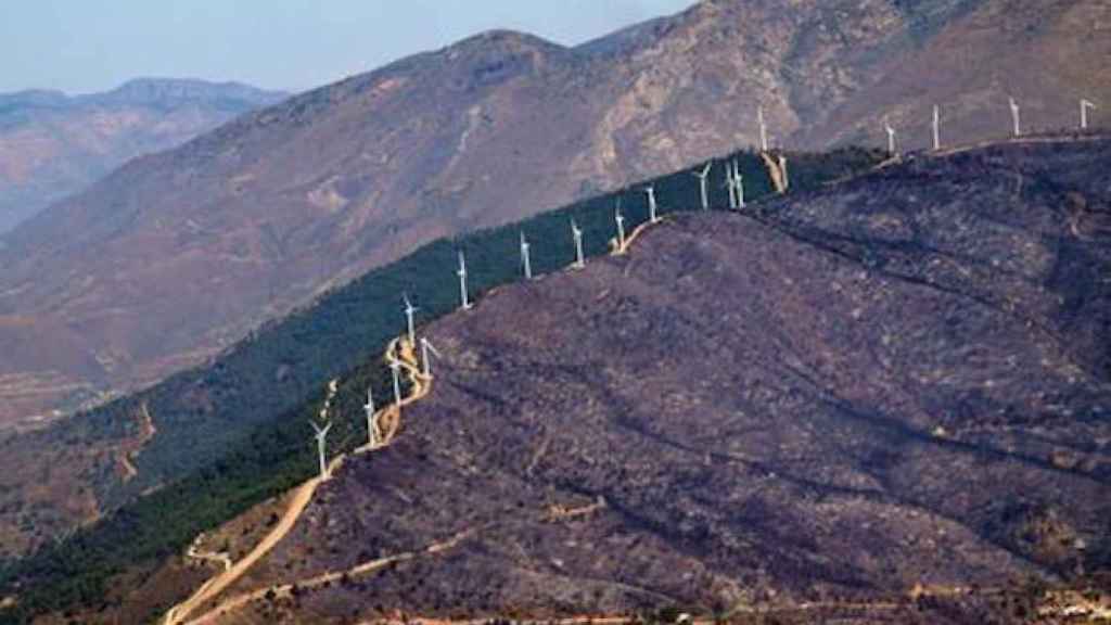 Los bancos también apuestan por el medio ambiente / CG