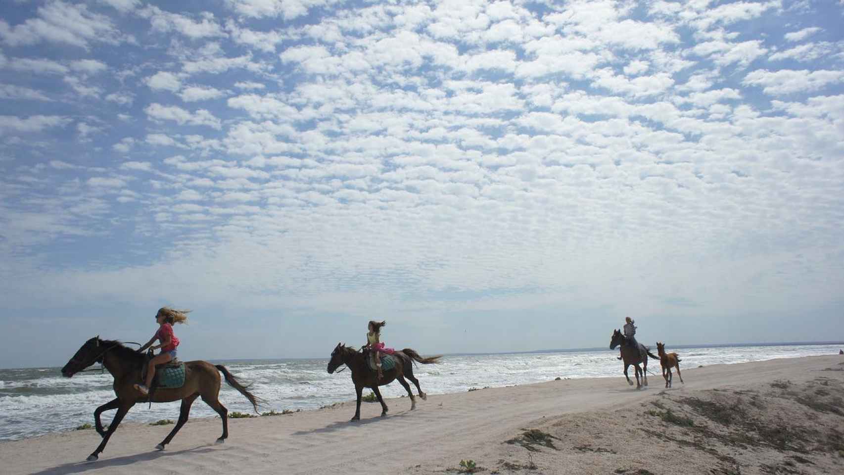 Turismo ecuestre en playas catalanas / PIXABAY