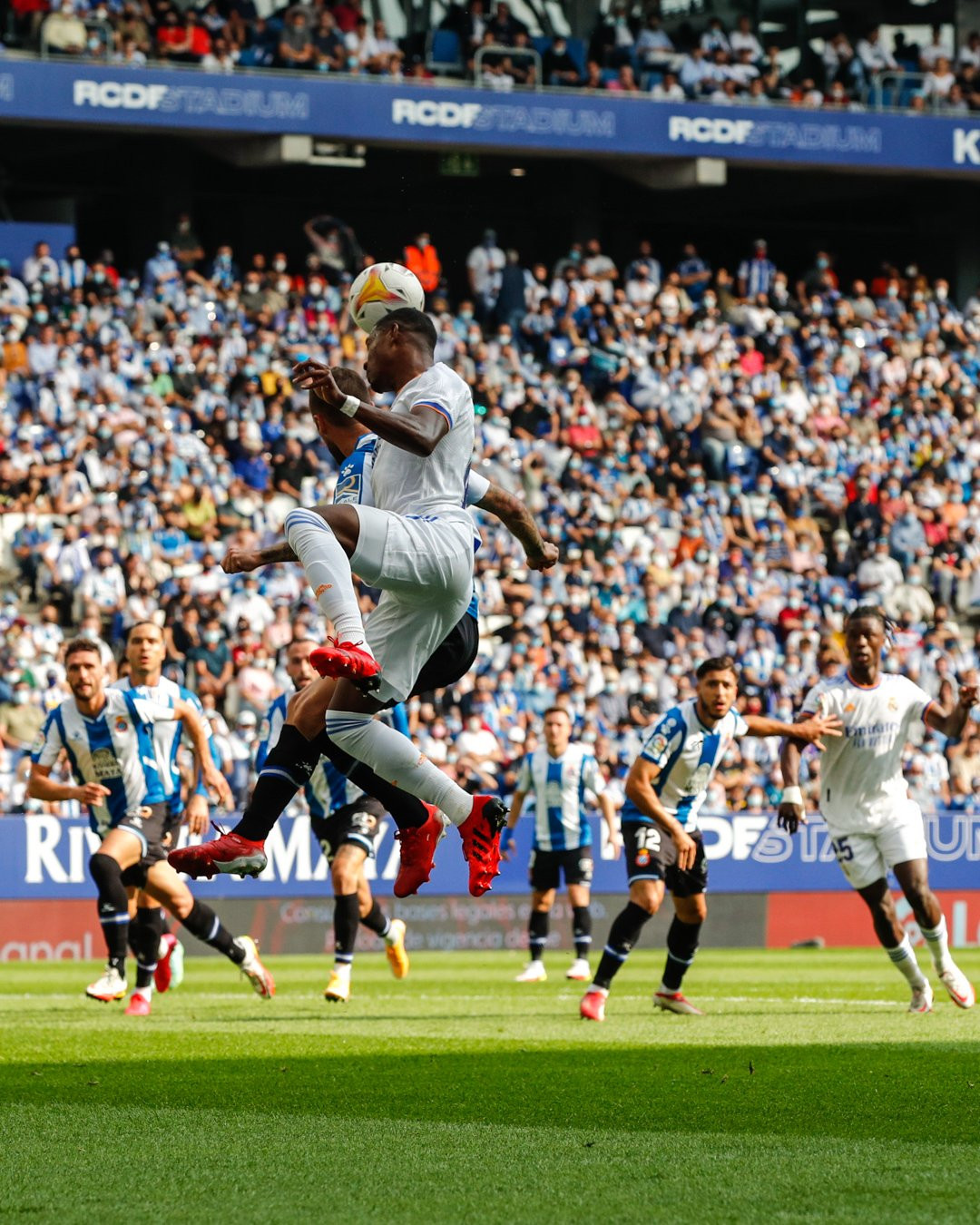 Alaba en un salto/RMCF