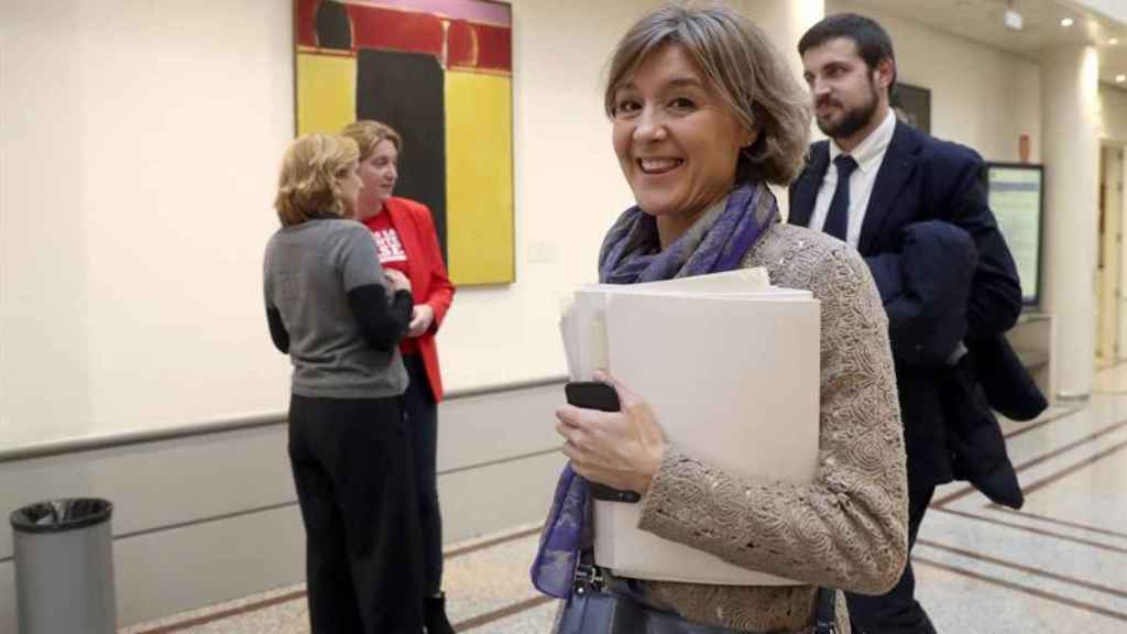 Isabel García Tejerina, ministra de Agricultura, esta tarde en el Senado / EFE