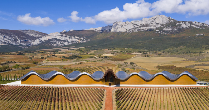 Imagen de un viñedo de la Rioja alavesa / ALAVATURISMO.EUS / ALAVATURISMO.EUS