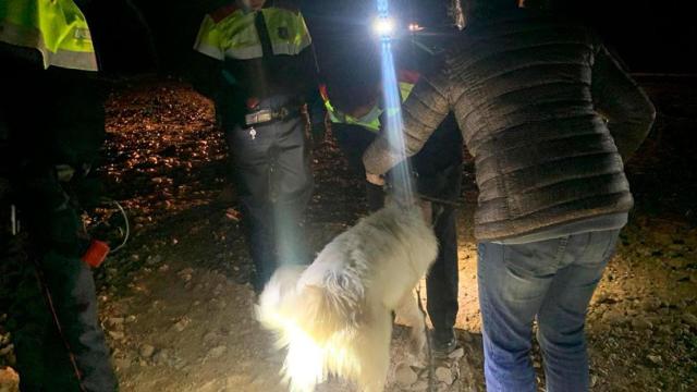 El perro después de ser rescatado por los Mossos y Bomberos en el pantano de Sant Antoni de Tremp (Lleida) / MOSSOS