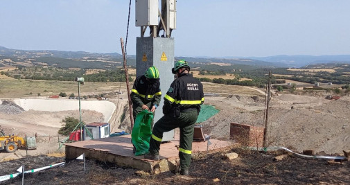 Agentes Rurales encuentran al ave cerca del soporte de línea eléctrica / AGENTES RURALES