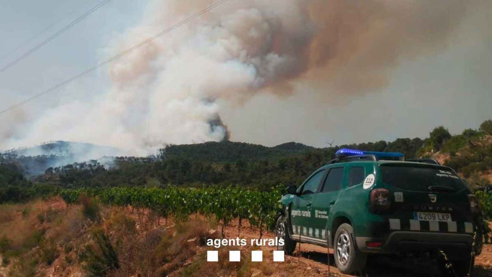 Los Agentes Rurales activan la alerta por riesgo de incendio en 19comarcas de Cataluña / INTERIOR