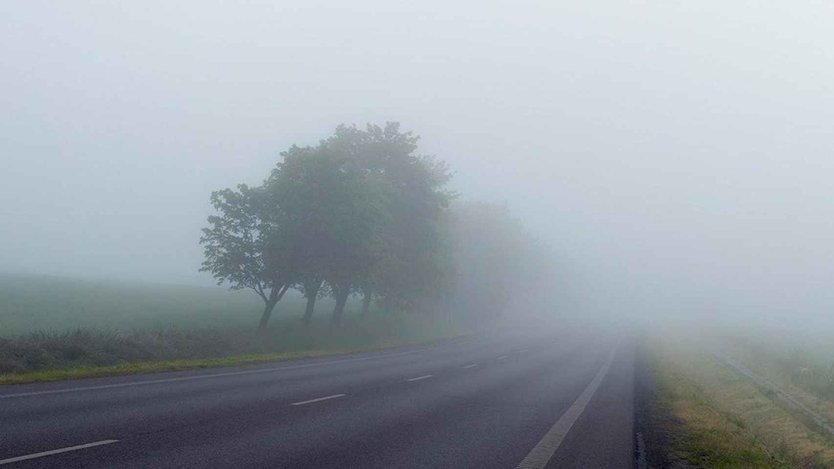 Una carretera de la provincia de Lleida con niebla intensa / EUROPA PRESS