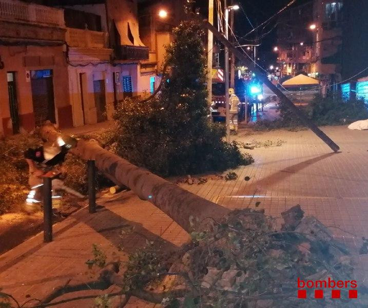 Un árbol caído en la vía pública debido por el temporal de viento / BOMBERS