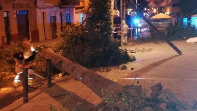 Un árbol caído en la vía pública debido por el temporal de viento / BOMBERS