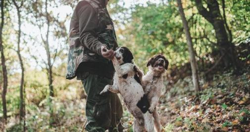 Perros adiestrados para encontrar trufa negra / Andrea Cairone en UNSPLASH