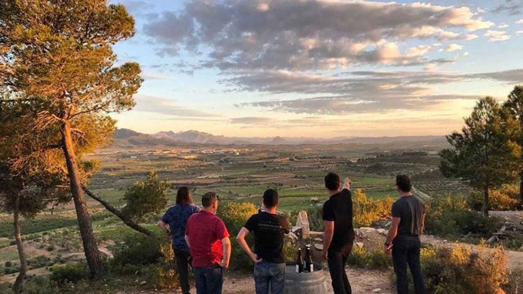 Enoturismo en Terres de l’Ebre / DIPUTACIÓ DE TARRAGONA