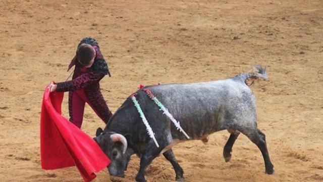 Una foto de archivo de una corrida de toros