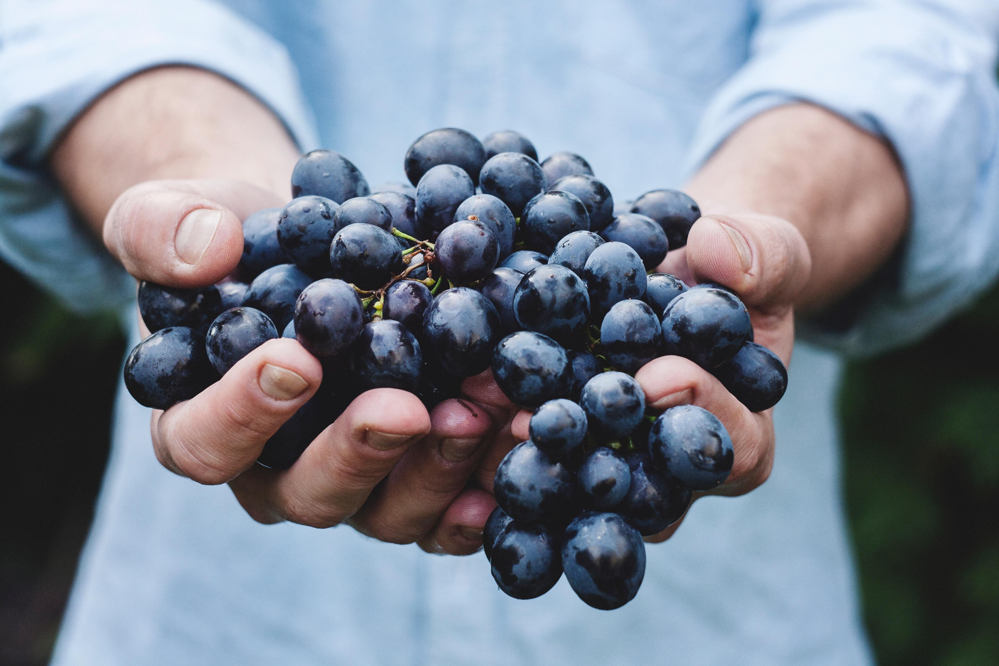 Un hombre sosteniendo algunas uvas / UNSPLASH