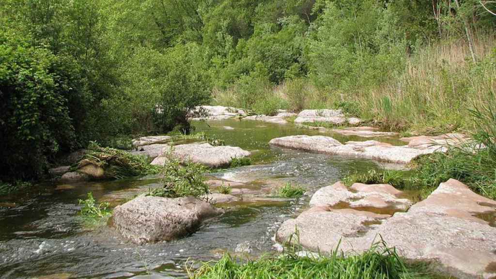 Imagen del Río Ripoll / WIKIMEDIA COMMONS