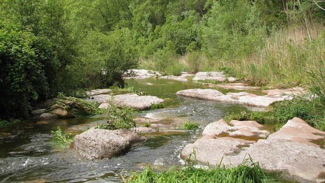 Imagen del Río Ripoll / WIKIMEDIA COMMONS