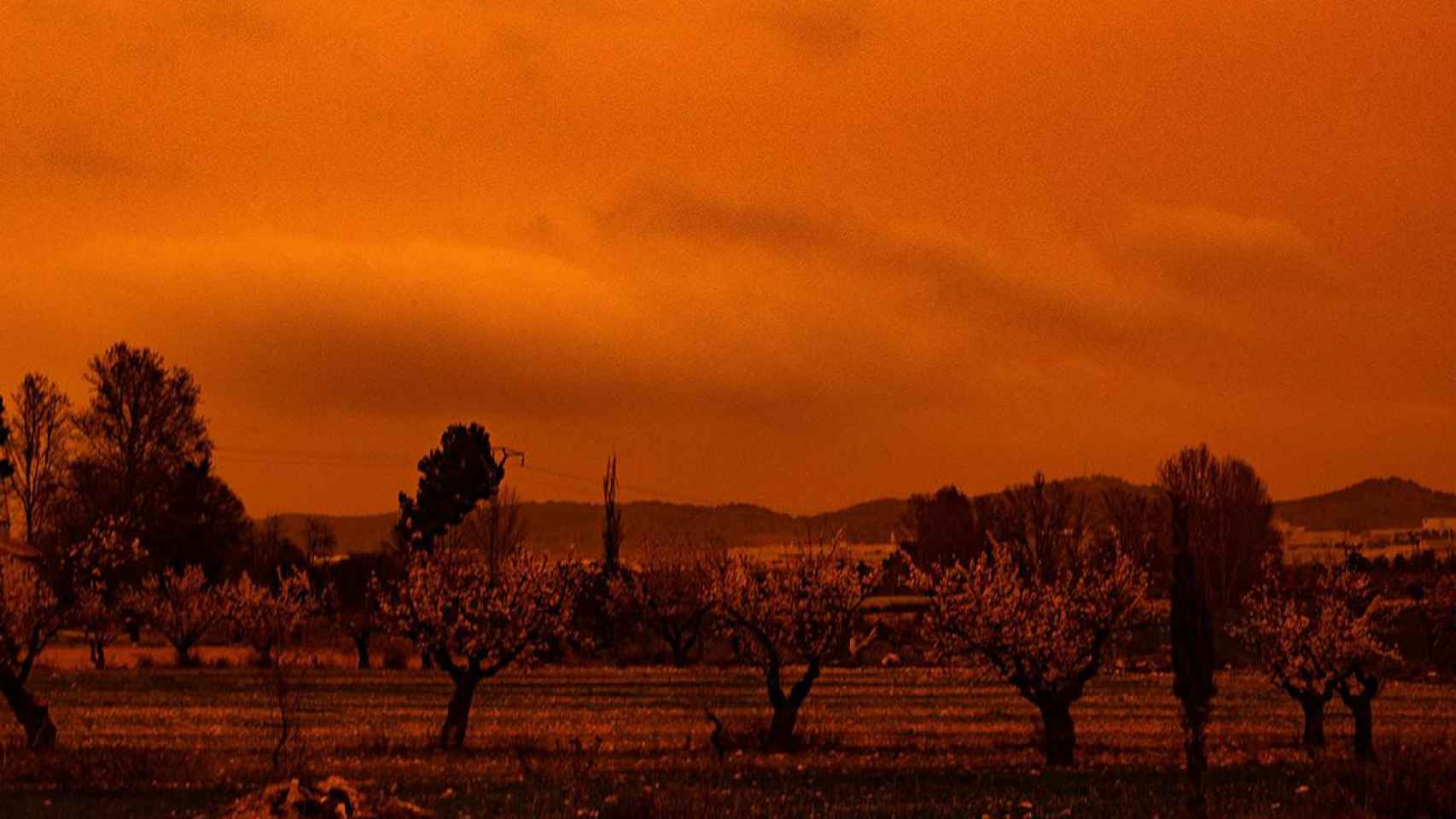 Contaminación por calima /EP