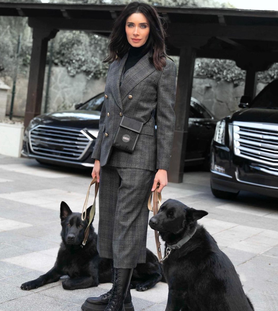 Pilar Rubio pasea a los perros