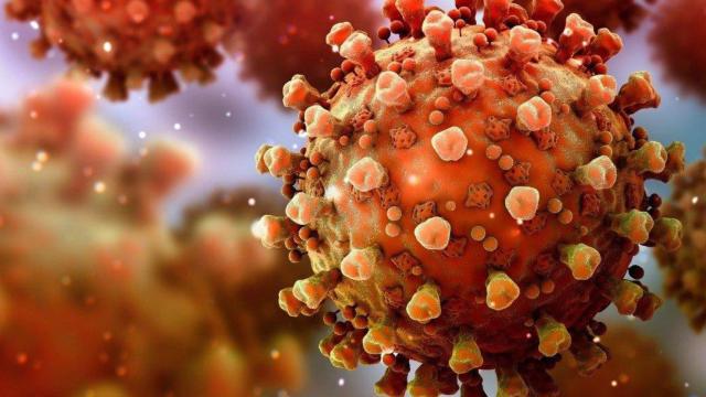 Coronavirus SARS-CoV-2, el virus que causa el Covid-19 / EP