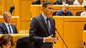 Pedro Sánchez presidente del Gobierno de España en el Senado / EUROPA PRESS